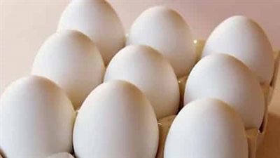 تفسير رؤية البيض والدجاج في المنام