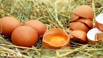 تفسير حلم البيض الفاسد لأبن سيرين