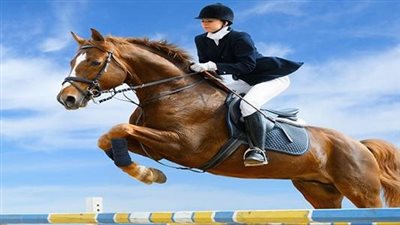 تعرفي على تفسير حلم ركوب الخيل للعزباء 