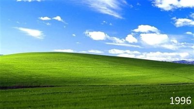 معلومات عن الصورة الشهيرة – خلفية نظام Windows XP
