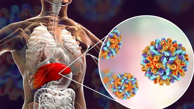 All You Need to Know About Hepatitis Types