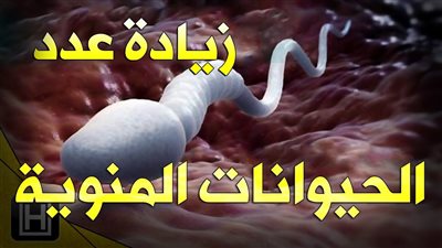 زيادة عدد الحېۏانات المڼوية : خطوة مهمة لتحسين الخصۏبة والقدرة الچنسية