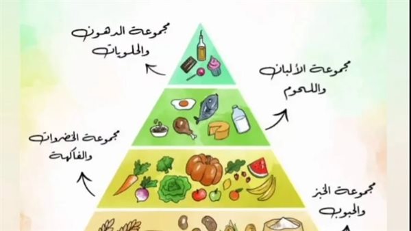 الهرم الغذائي 