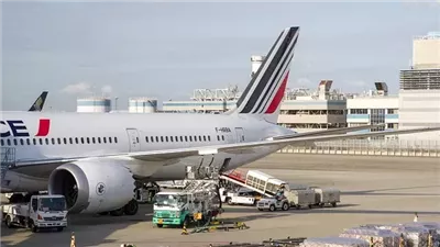 كل ما تريد معرفتة عن الكارجو