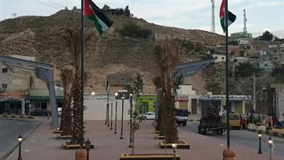 الشونة في الڠور الأردني