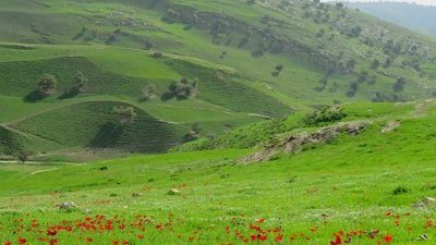 قرية سمر في اربد : وجهة سياحية خلابة