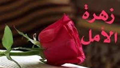 زهرة الأمل