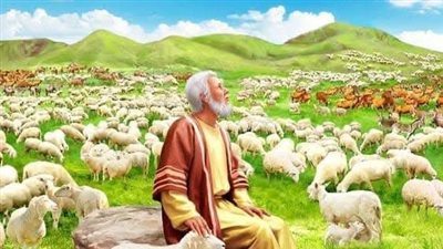موقع أيام نيوز
