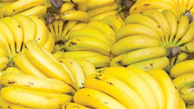 الموز اللبناني بـ22 ألف ليرة … والكميات المستوردة لم تتجاوز 250 طناً حتى الآن !!