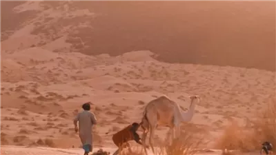 أصل عائلة ابراهيم