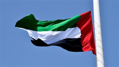 الاعلام التي لا تنكس
