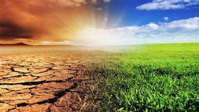 تأثير التغير المناخي على الأمن الغذائي: ماذا يمكننا أن نفعل؟ 