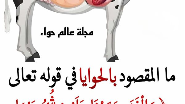 ما هي الحوايا في قول الله عز وجل وَالْغَنَمِ حَرَّمْنَا عَلَيْهِمْ ...