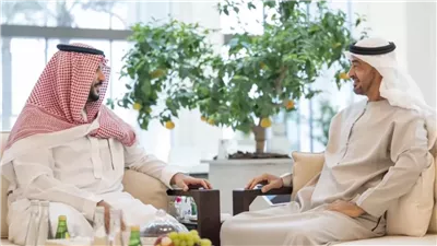 رئيس دولة الإمارات العربية المتحدة يستقبل الأمير خالد بن سلمان
