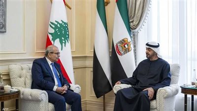 رئيس الإمارات ورئيس وزراء لبنان يبحثان العلاقات الثنائية والتطورات الإقليمية