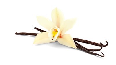 عطر صلب بنكهة الفانيليا يعيد موضة عطور الجيب