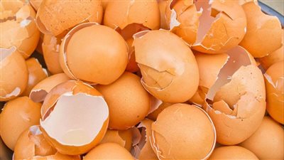 حيلة مچنونة استخدام قشر البيض في تنظيف الأحواض