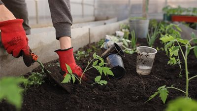 حيل ذكية تساعدك على تنسيق الحدائق المنزلية والشرفات