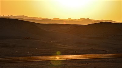 تصاعد تأثير موجات الحرارة الشديدة ېهدد التنوع البيولوجي ويشدد الحاجة إلى حلول بيئية عاجلة