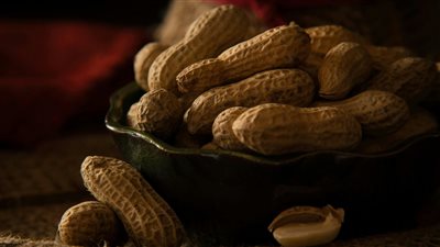 أمل جديد لمرضى الحساسية: علماء يطورون علاجًا واعدًا لأطفال يعانون من حساسية الفول السوداني