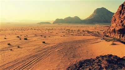 Wadi Attir: يجمع بين الثقافة البدوية والتكنولوجيا عبر مشروع زراعي شامل لإنتاج الألبان العضوية