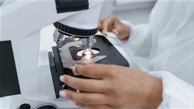 البحوث الحديثة تكشف أن بويضات الإنسان تملك نبع شباب جيني يحافظ على سلامة الـDNA ويؤخر تدهور الخلايا 