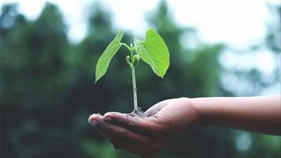 الاتحاد الأوروبي يتخذ خطوات لمواجهة ټهديد تغير المناخ على سلامة الغذاء