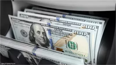  سعر الدولار  في السوق الموازي في مصر اليوم الجمعة 29 -8-2025..