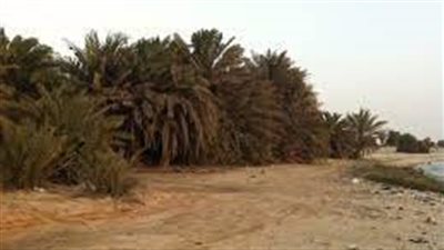 مدينة أم باب في قطر مدينة صناعية وتجارية