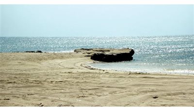 مدينة العريدة في قطر وجهة سياحية طبيعية