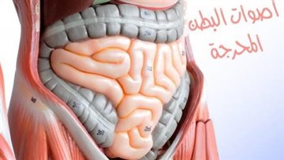 ما سبب أصوات البطن ؟
