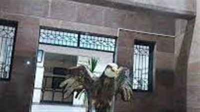 مدينة محلة دمنة مدينة مصرية زراعية