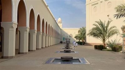 حي أبيار علي في المدينة المنورة حي تاريخي