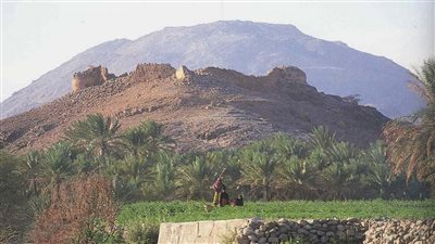دماء والطائيين بوابة الشرقية