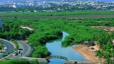 صلالة عروس بحر العرب