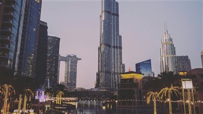 صندوق الاستدامة والابتكار يُنشئ مكتباً للملكية الفكرية الخضراء لدعم مشاريع الإمارات البيئية