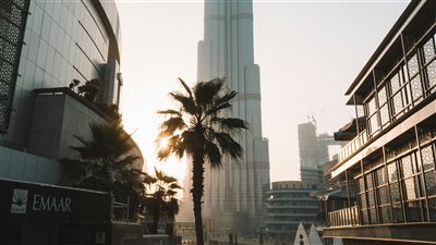 الإمارات تبحث تعزيز التعاون التجاري والاستثماري مع روسيا خلال لقاءات رفيعة بحضور محمد بن زايد