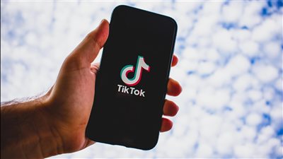 انتشار واسع لمقاطع فيديو القطط المولدة بالذكاء الاصطناعي يجذب الملايين على TikTok وInstagram